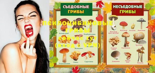 кокаин перу Абаза