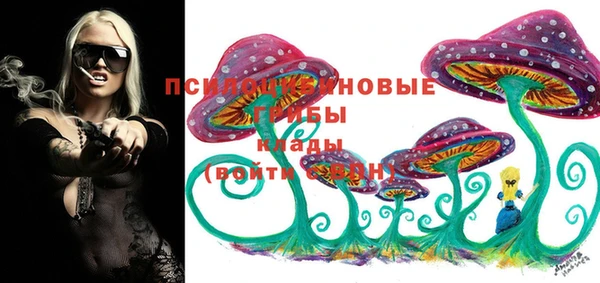 ALPHA PVP Алзамай