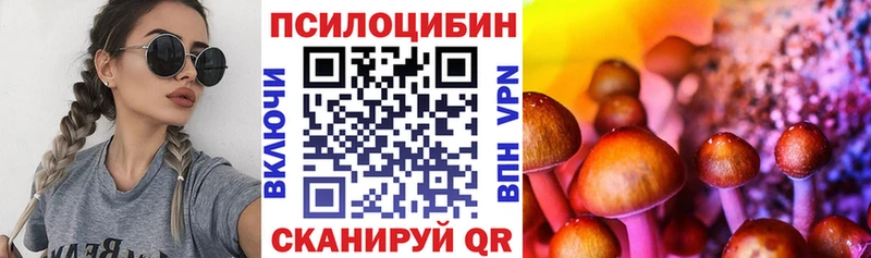 Галлюциногенные грибы прущие грибы  Брюховецкая 